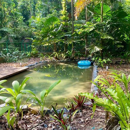 Daintree Siesta Villa Diwan Buitenkant foto