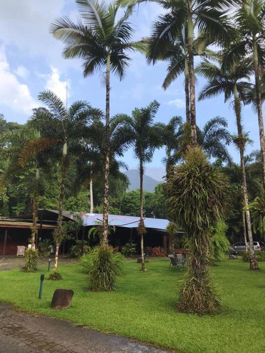 Daintree Siesta Villa Diwan Buitenkant foto