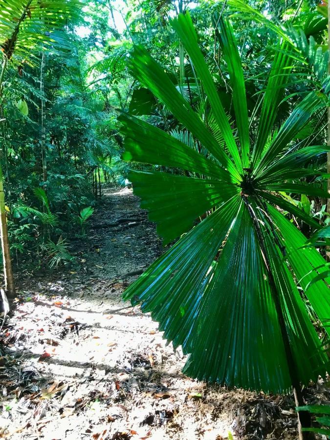 Daintree Siesta Villa Diwan Buitenkant foto